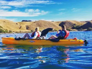 Seal Kayak Kaikoura