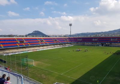 Avicor Stadium Selvapiana