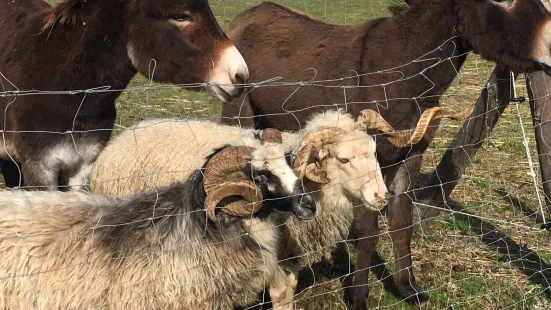 Parc animalier de la matarelle