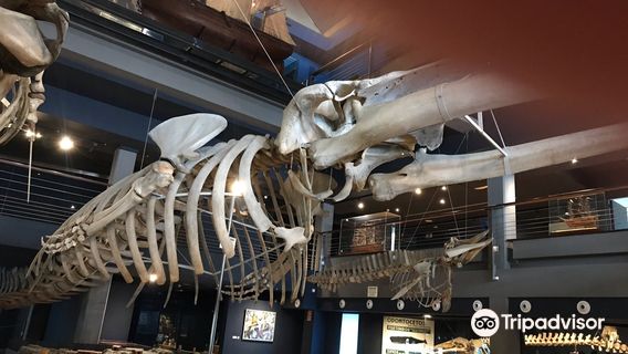 Museo Maritimo del Cantabrico