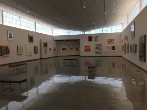 Daum Museum of Contemporary Art