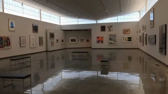 Daum Museum of Contemporary Art