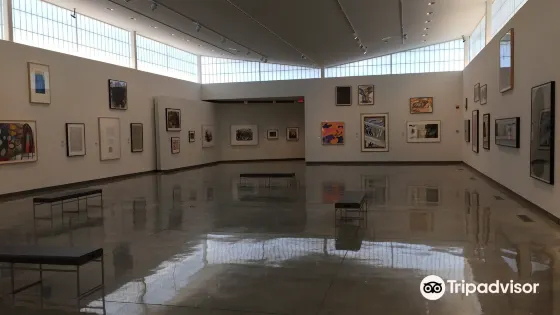 Daum Museum of Contemporary Art