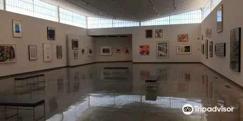 Daum Museum of Contemporary Art