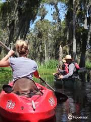 Beyond the Bayou