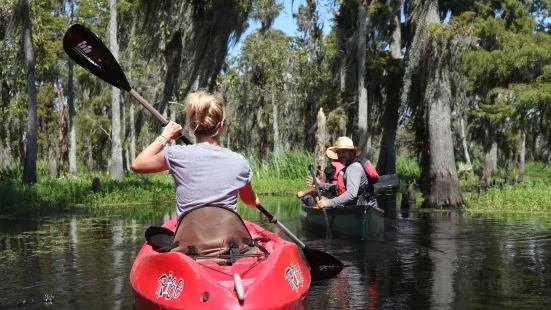 Beyond the Bayou