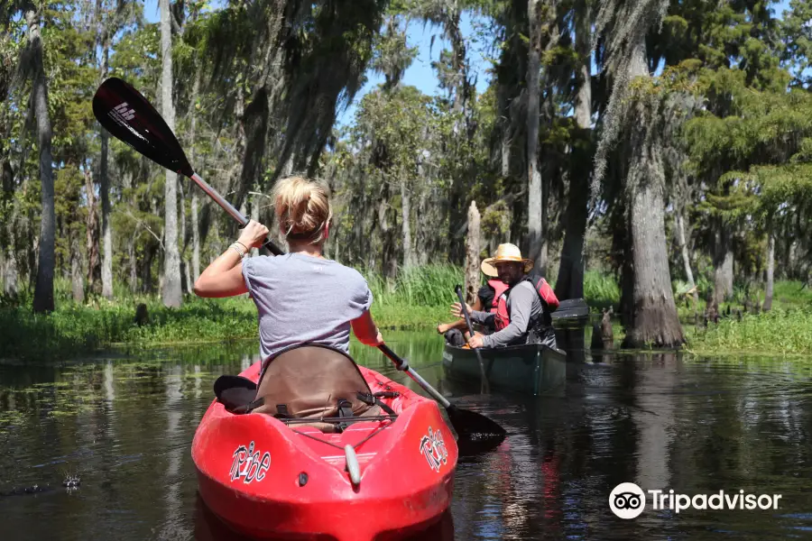 Beyond the Bayou