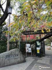 Makino Memorial Garden & Museum