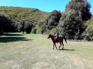 Ranch "Barba Tone"