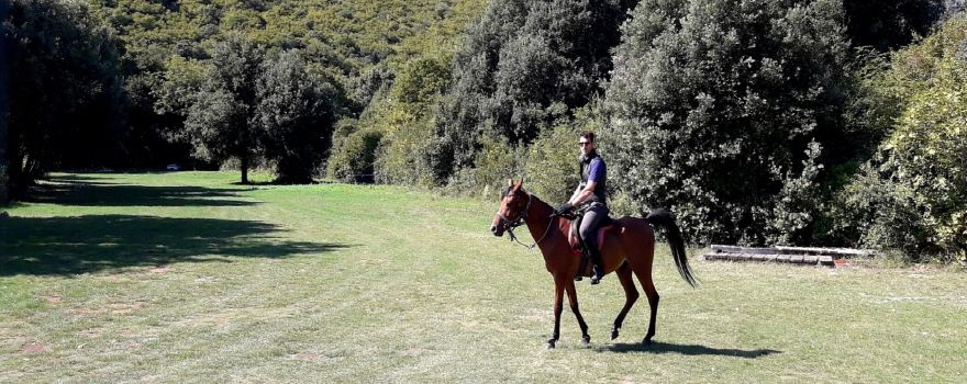 Ranch "Barba Tone"