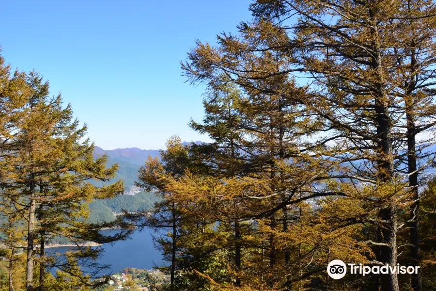 足和田山