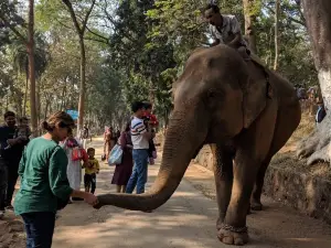 Assam State Zoo cum Botanical Garden