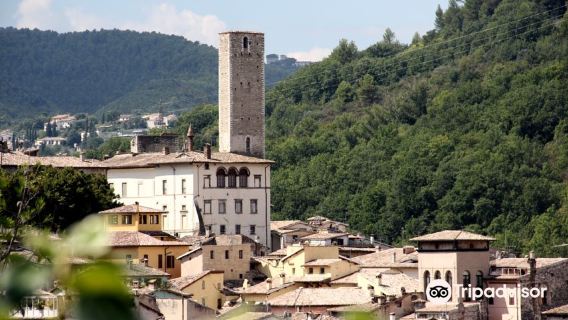 Torre dell’Olio