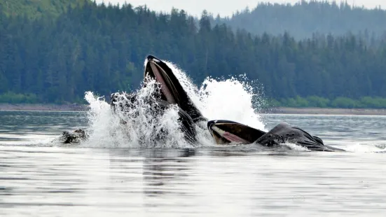 Icy Strait Point