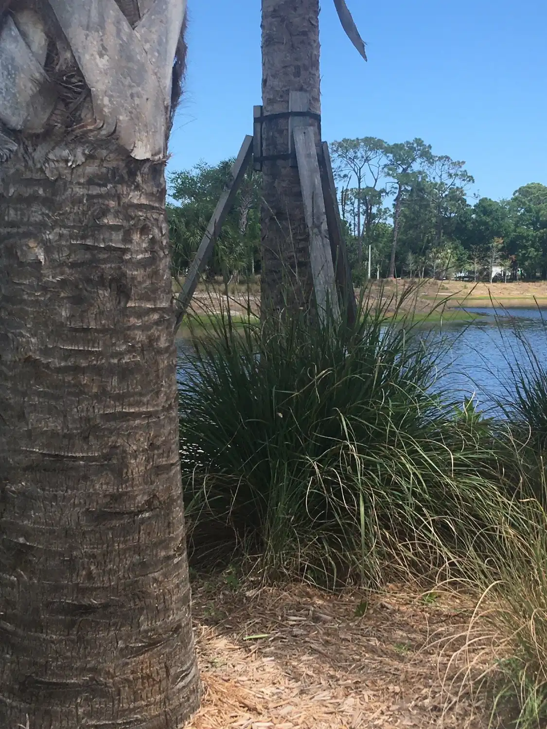 Hotels near Cinquez Park