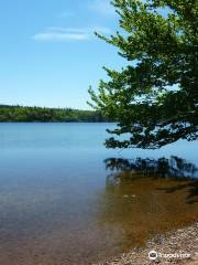 parc provincial Lake Midway