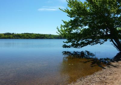 Lake Midway Provincial Park