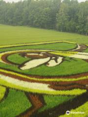 Tambo art (Art on rice fields -Asahikawa )