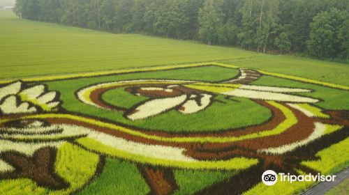 Tambo art (Art on rice fields -Asahikawa )