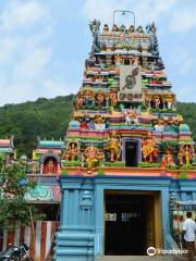 Pazhamudhircholai Murugan Temple