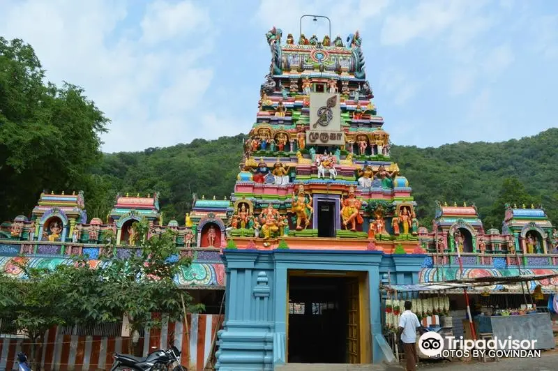 Pazhamudhircholai Murugan Temple