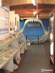 Museo Paleontologico Bariloche