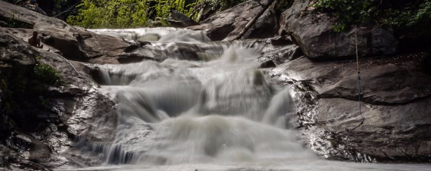 Sugarfork