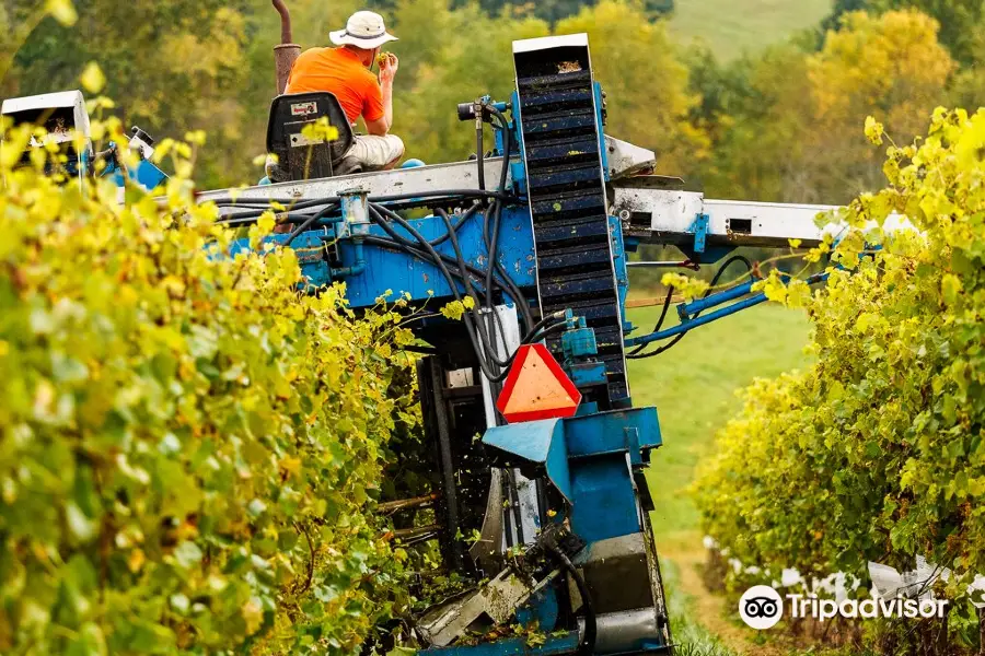 Linganore Winecellars - Berrywine Plantations