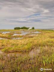 Neguac Bird Sanctuary (Ile-Aux-Foins Park)