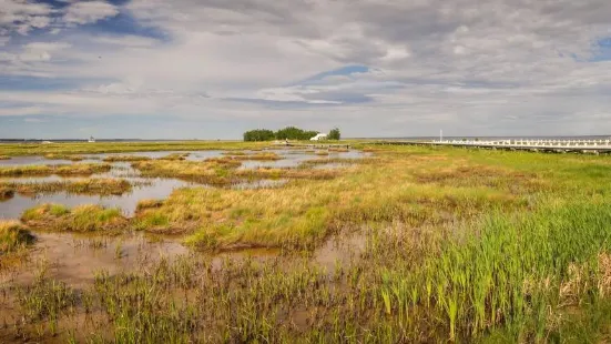 Neguac Bird Sanctuary (Ile-Aux-Foins Park)