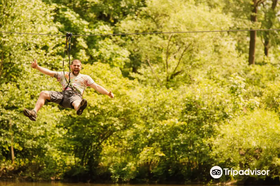 Go Ape Treetop Adventure Course