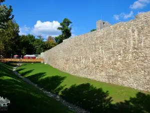 The Fortress of Severin