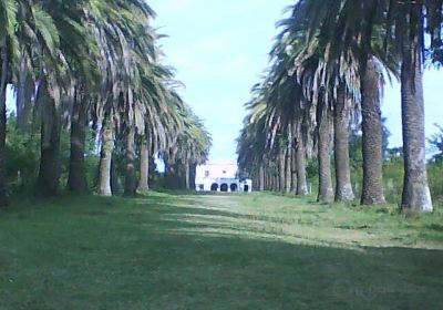 Dolores
