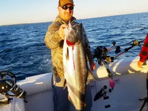 Ace Charters - Lake Ontario Fishing Charters