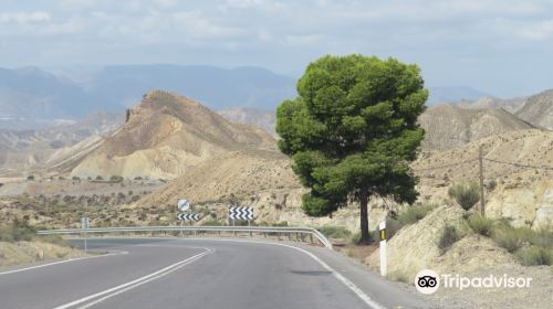 Tabernas Desert