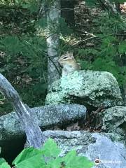 Mass Audubon's Wachusett Meadow Wildlife Sanctuary