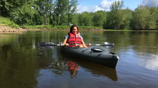 Dragonfly Paddlers