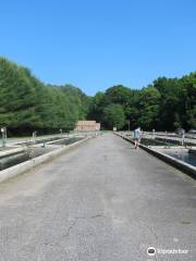 Buford Trout Hatchery - Wildlife Resources Division