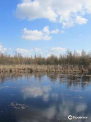 Volo Bog State Natural Area