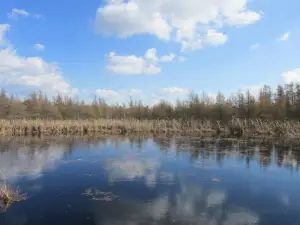Volo Bog State Natural Area