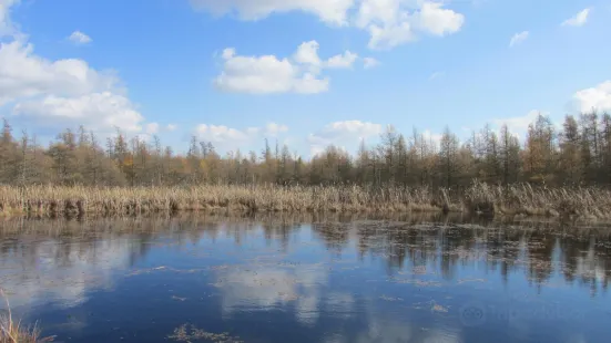 Volo Bog State Natural Area