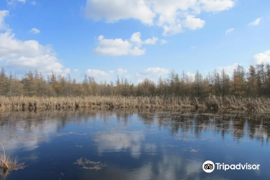 Воло Бог Стейт Нэчурал Арея