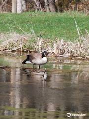 Mary Gray Bird Sanctuary