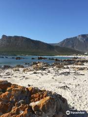 Pringle Bay Beach