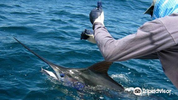 Come Fish Panama