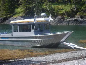 tongass kayak adventures