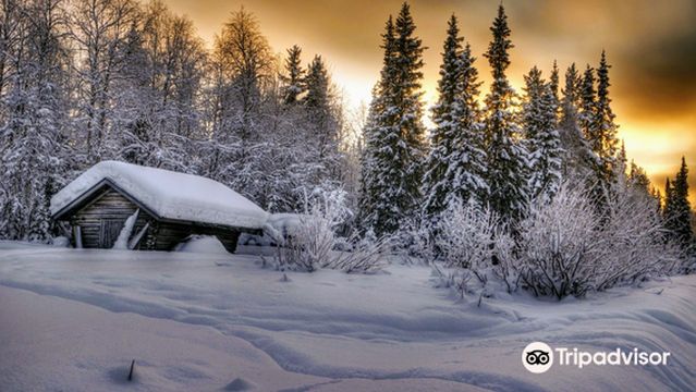 Keimiöniemi Fishing Cabins