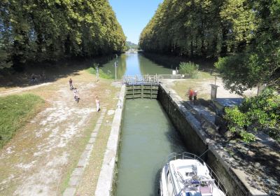 Voie Verte de l'Armagnanc