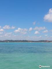 Piscinas Naturais Paripueira - Alagoas