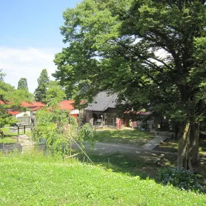 蔵王堂城址